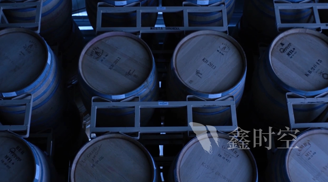 展览活动设计的基本发展要求有哪些